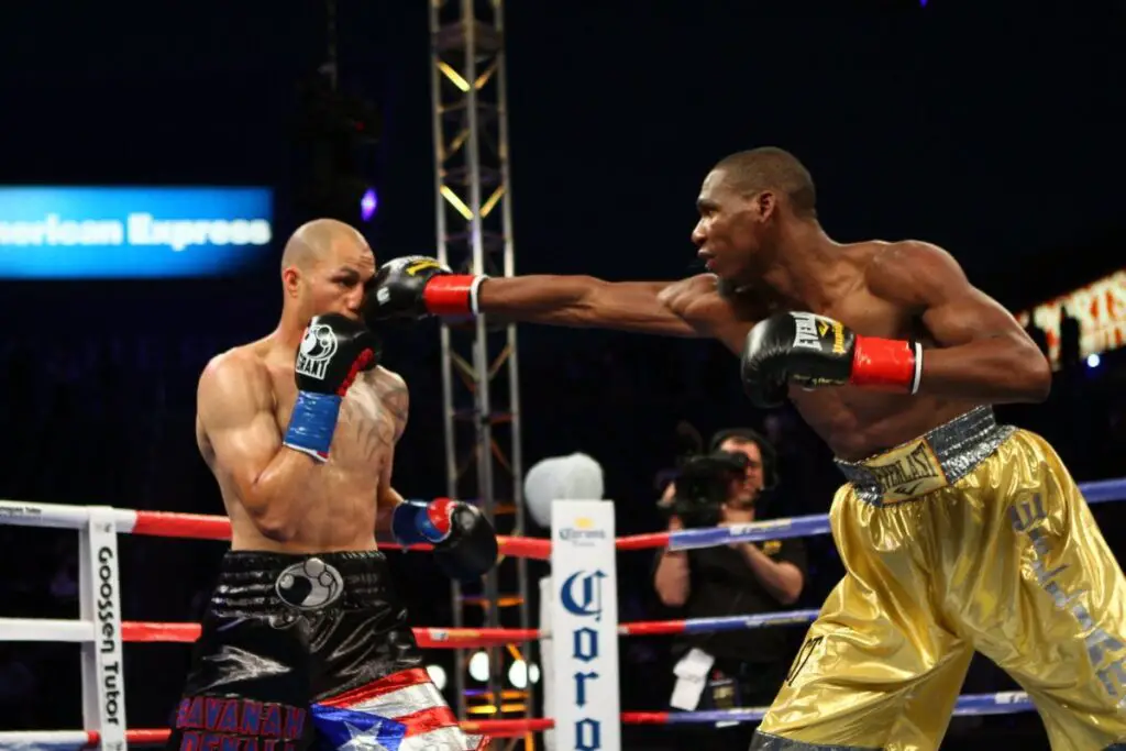 How To Count Average Ape Index: Сalculate Easily boxing